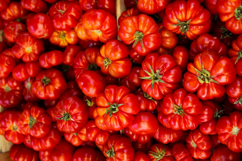 tomatoes sussex